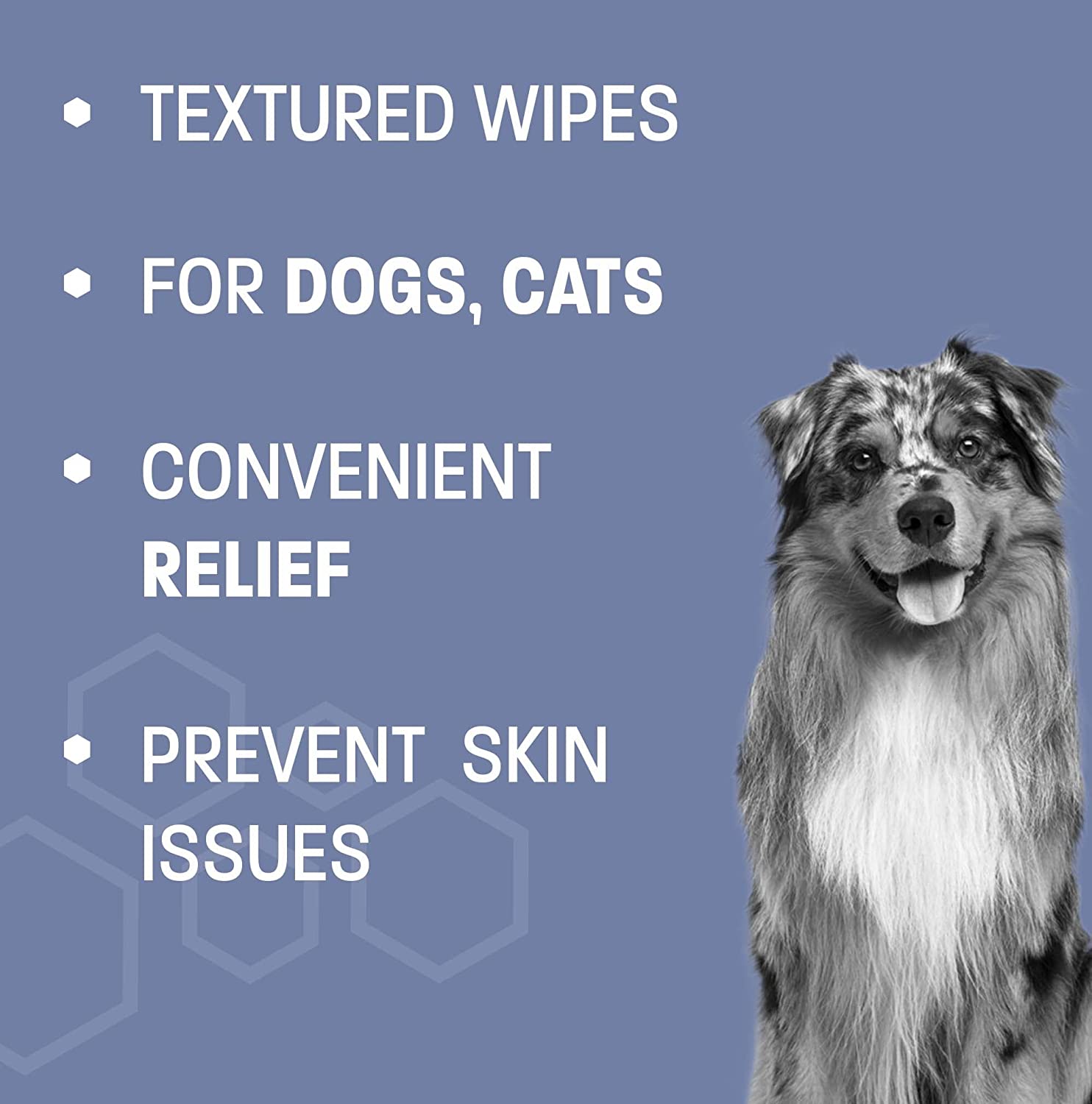 Chlorhexidine Antiseptic Wipes for Dogs