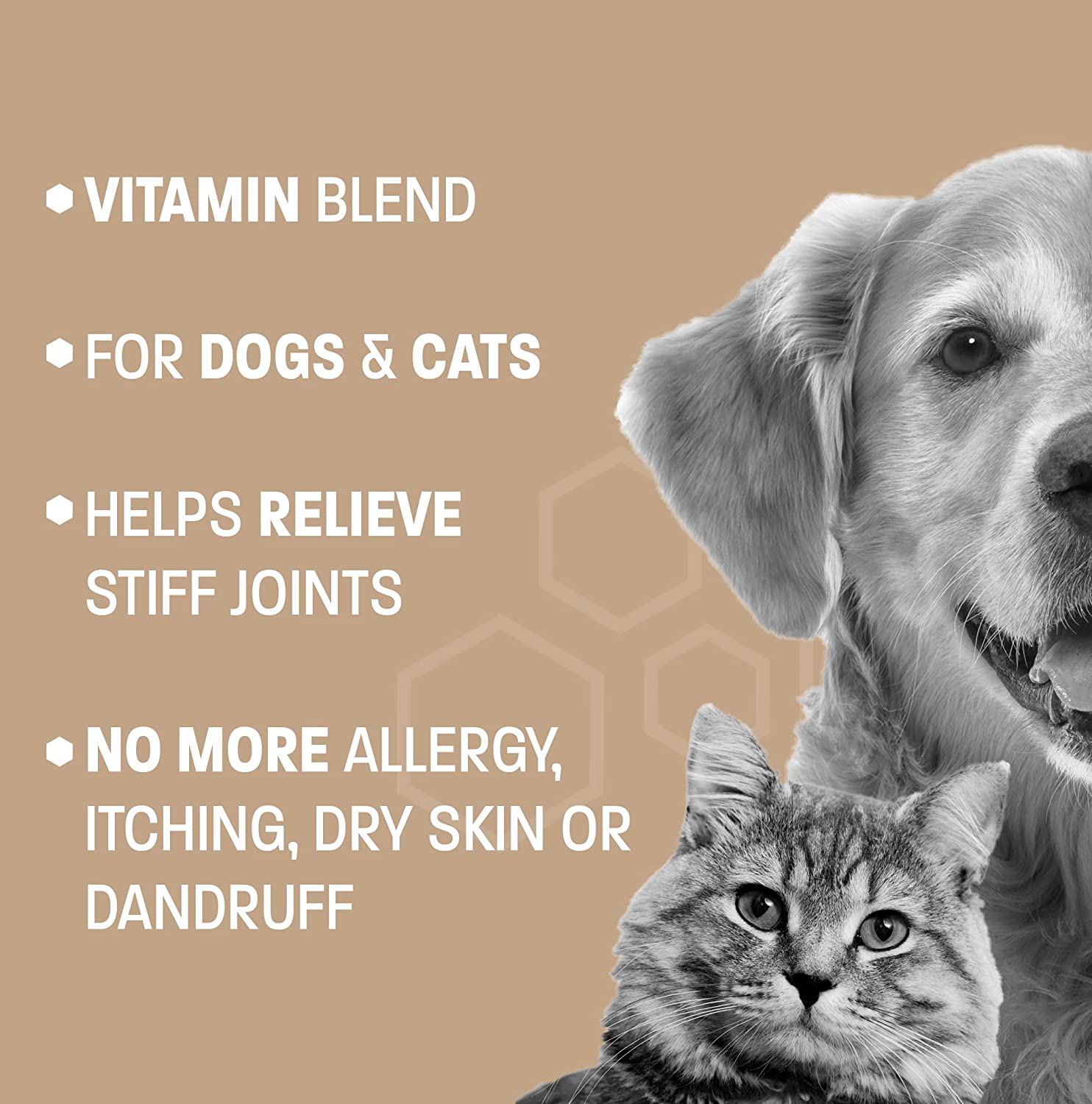 Omega 3 Fish Oil for Dogs - Skin & Coat Supplement