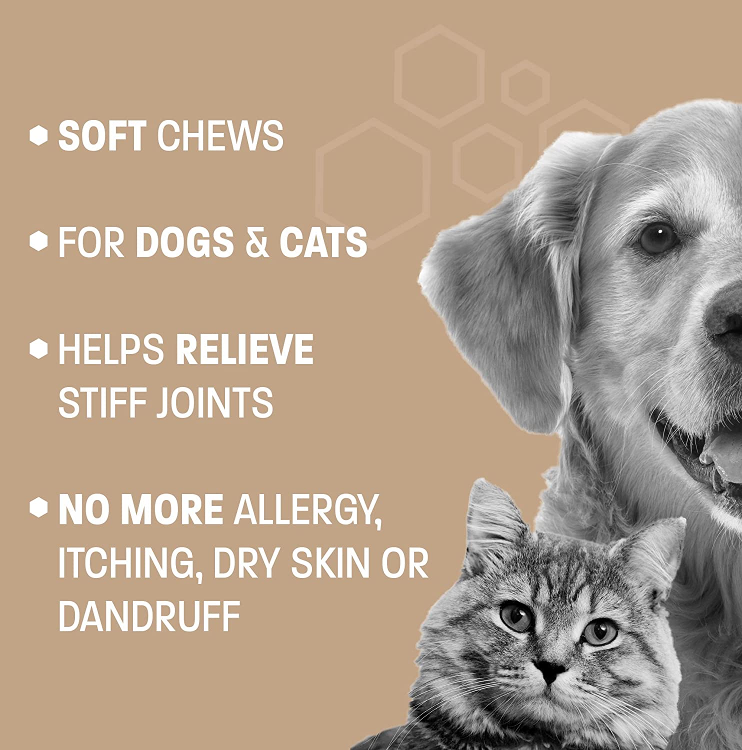 Omega 3 Supplement Fish Oil for Dogs and Cats